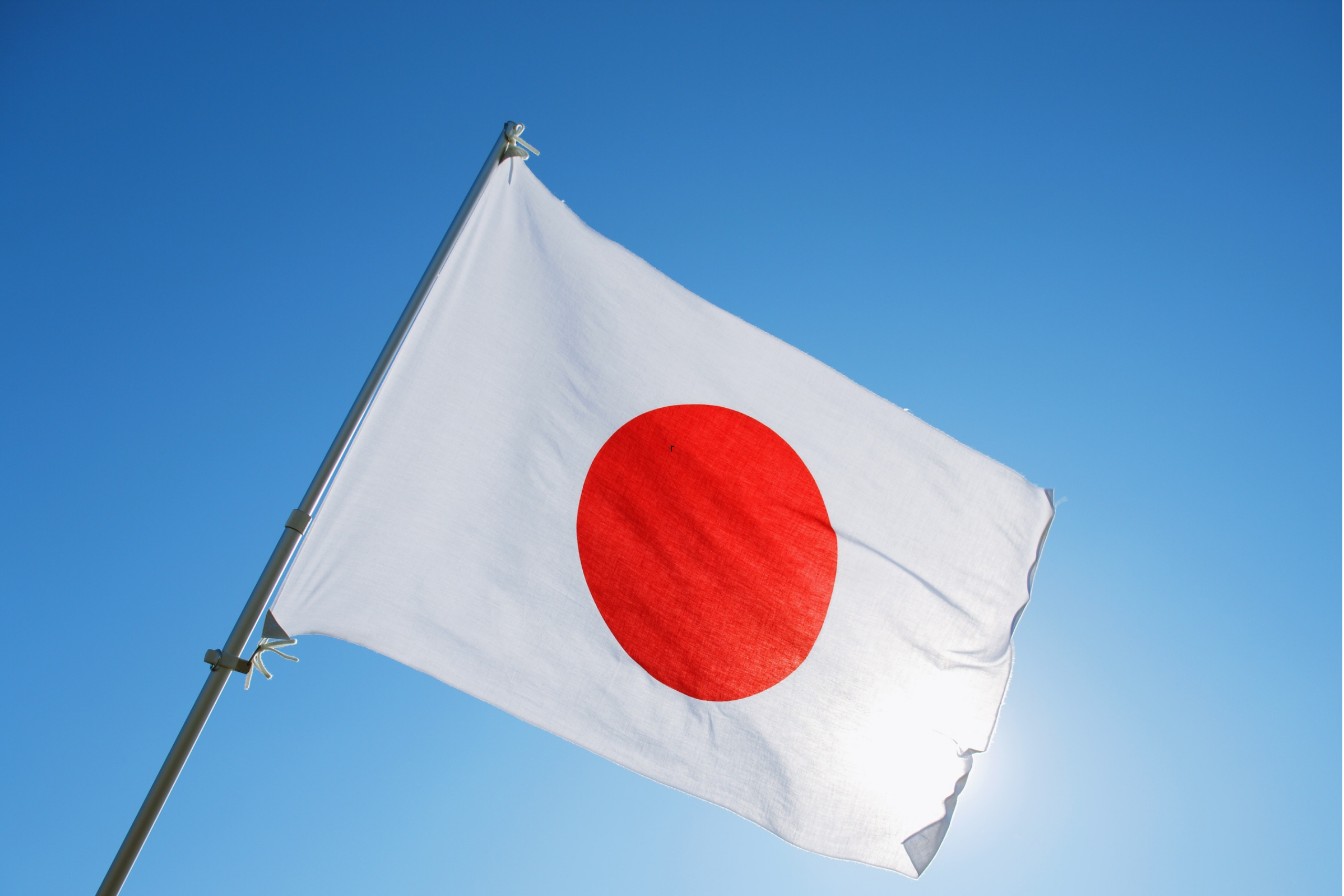 Nova Resolução CMED e o risco da Inclusão do Japão